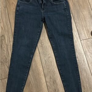 American Eagle Outfitters Dark Blue Skinny Jeans